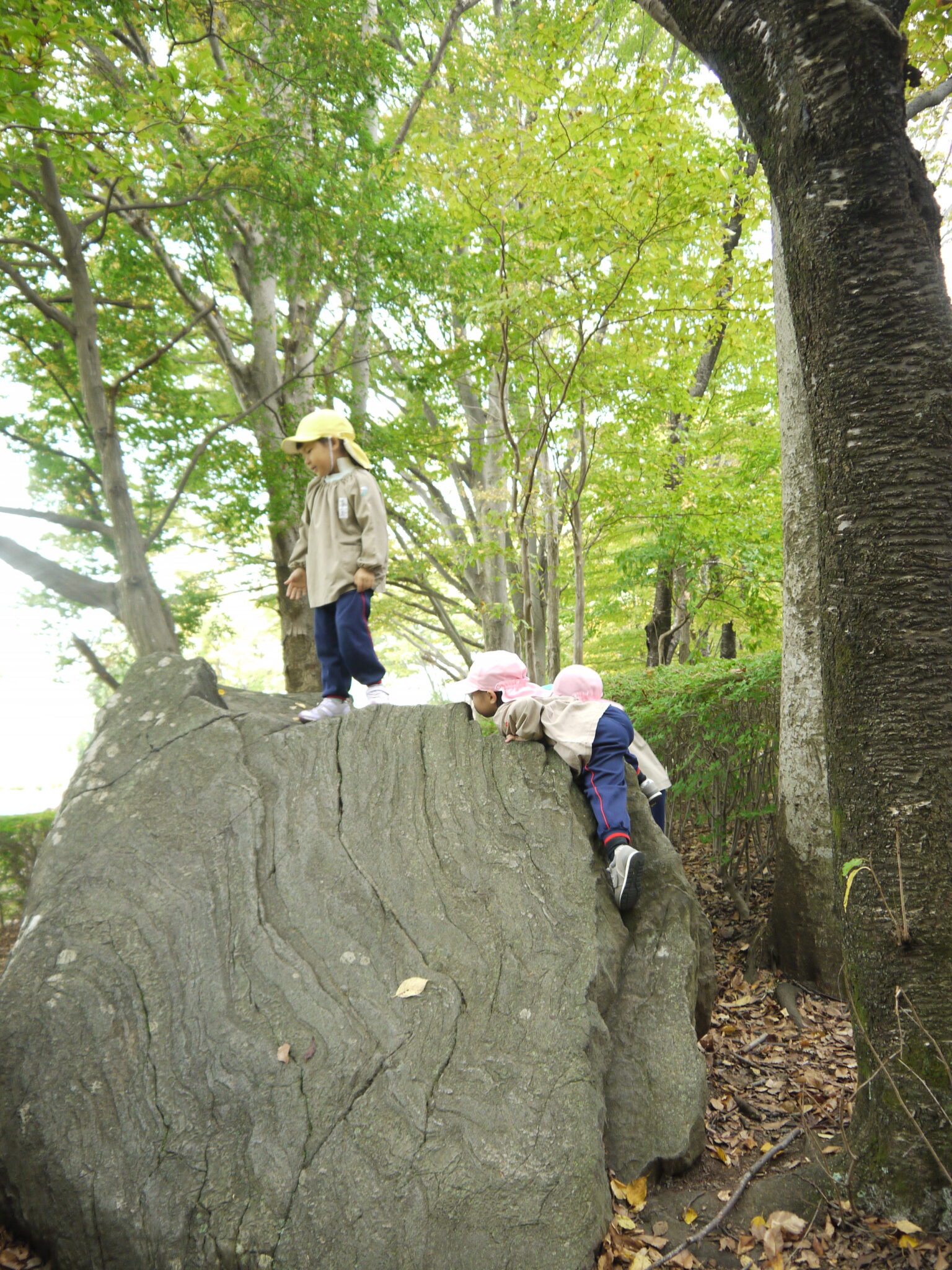 秋の遠足 聖マルチン幼稚園